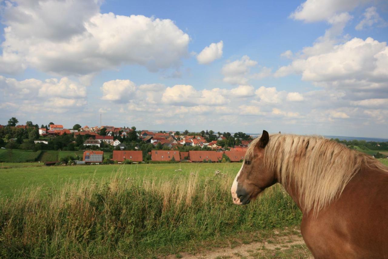 Hainich-Zeit Rodeberg Екстериор снимка